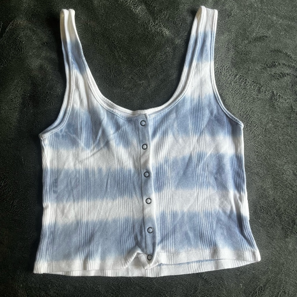 American Eagle Outfitters Blue and White Sleeveless Crop Tank Top